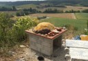 Pizza-Oven_14