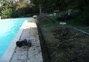 Terraces_26