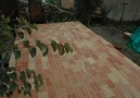 Terraces_56